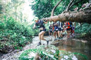 BIB: 
                            <button type="button" onclick="openModal(25449766)" class="btn btn-primary btn-sm float-right btn-popup" data-toggle="modal" data-target=".modal-high-quality">
                        <i class="fas fa-shopping-cart"></i> Add to Cart
                    </button>
                                            <button type="button" onclick="isThisMe(25449766, true)" class="btn btn-success btn-sm float-right btn-popup btn-isme hidden" data-toggle="tooltip" data-placement="bottom" title="นี่คือรูปของคุณใช่ไหม คลิกที่นี่เพื่อเอาเข้าอัลบั้ม">
                        <i class="fas fa-plus"></i> Add to album
                    </button>
                    <button type="button" onclick="isThisMe(25449766, false)" class="btn btn-warning btn-sm float-right btn-popup btn-isnotme hidden">
                        <i class="fas fa-ban"></i> Remove from album
                    </button>